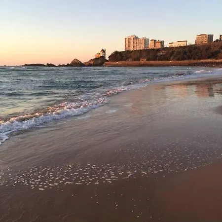 Cote Des Basques Appartement Biarritz